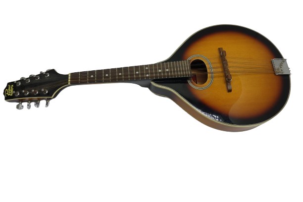 ShopTheSalvationArmy - Rogue Mandolin; SO-RM-111,8-String, Sunburst ...