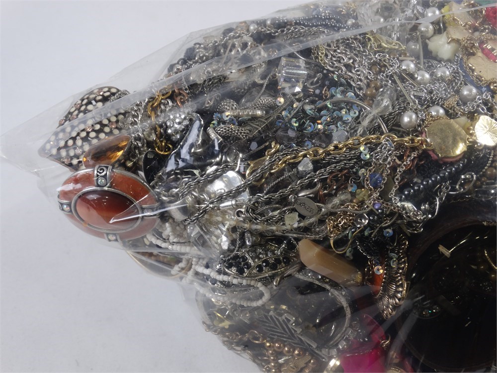 ShopTheSalvationArmy - Lot of 100% Unsorted Jewelry 22.52lbs [FSD12]