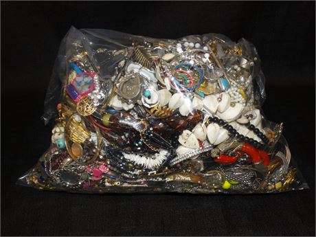 ShopTheSalvationArmy - Lot of 100% Unsorted Jewelry 20.89lbs