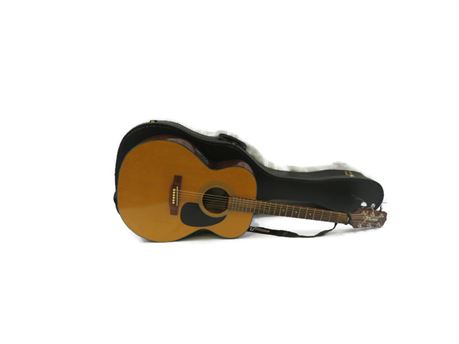Takamine EG-230 Acoustic/Electric 6-String Guitar