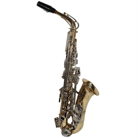 Online Thrift Store | ShopTheSalvationArmy - Selmer Paris