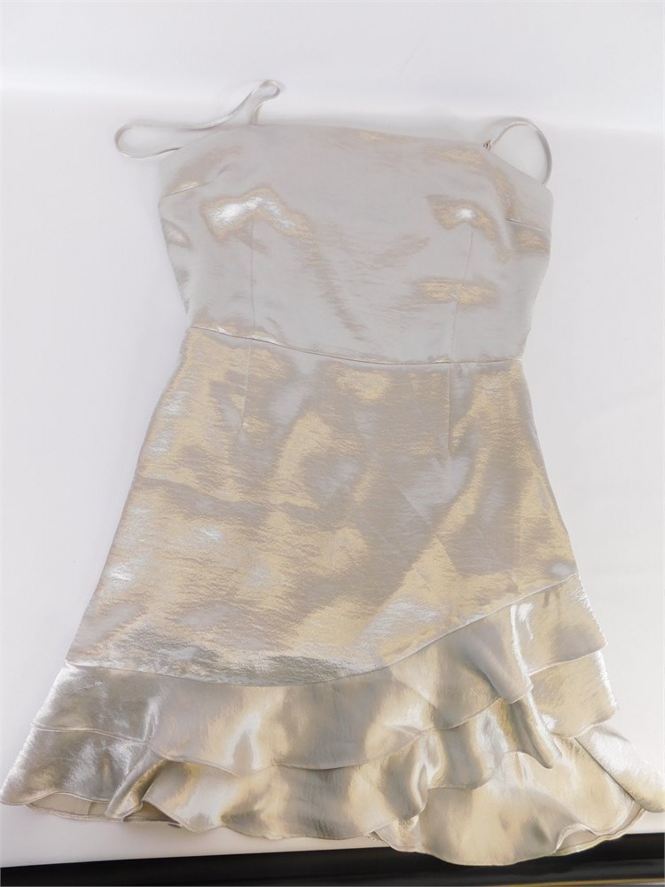 Shopthesalvationarmy - New Women's Bb Dakota Silver Dress, Size: 8 [133a]