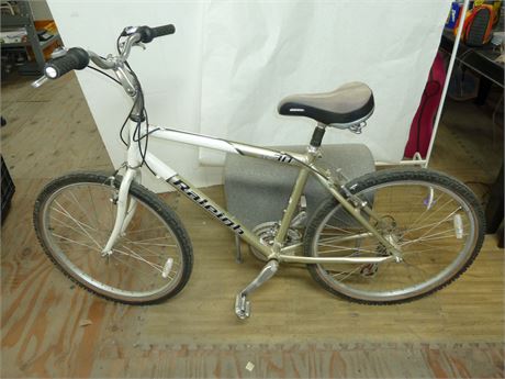 raleigh sc 30 bike