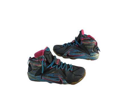 ShopTheSalvationArmy - Nike - LeBron 12 - 23 Chromosomes - 684593-006 ...