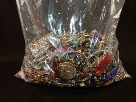 ShopTheSalvationArmy - Lot of 100% Unsorted Jewelry 21.68lbs