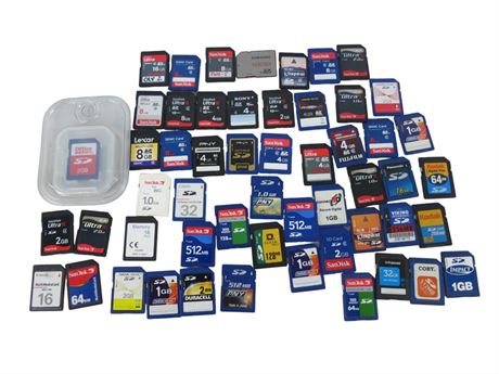 ShopTheSalvationArmy - SD Card Lot [RF]